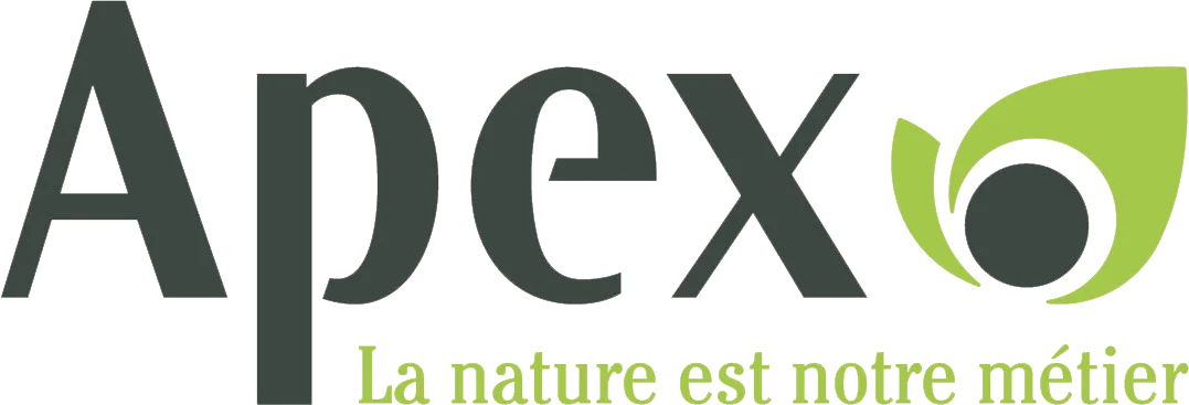 Logo de l'enseigne Apex